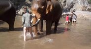 Whitney Lavaux foi arremessada pelo elefante enquanto lavava sua tromba - Foto: Reprodução/ YouTube/ Whitney Lavaux