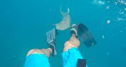 Parker Simpson mostra o momento em que um tubarão se aproxima - Foto: Reprodução/ YouTube