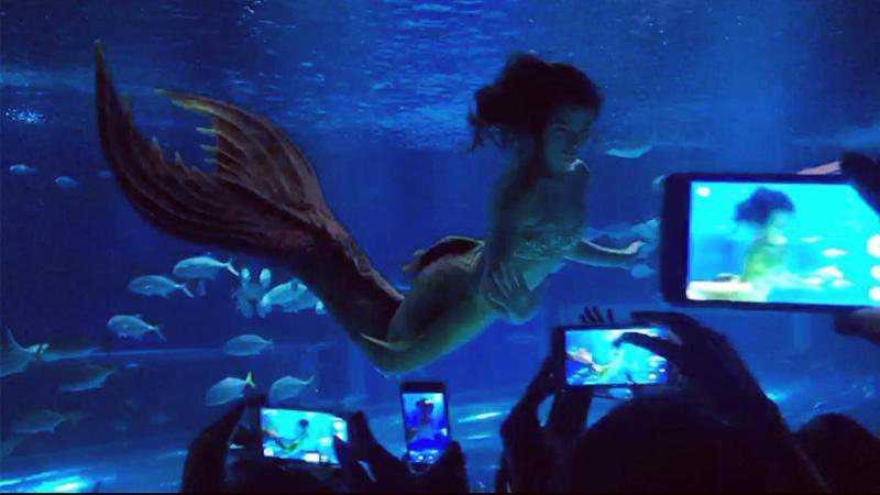 Isis Valverde compartilha foto e vídeo nadando como sereia - Foto: Reprodução/ Instagram