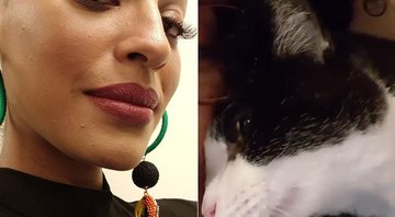 Sheron Menezes e seu gato, Tripé - Foto: Reprodução/ Instagram