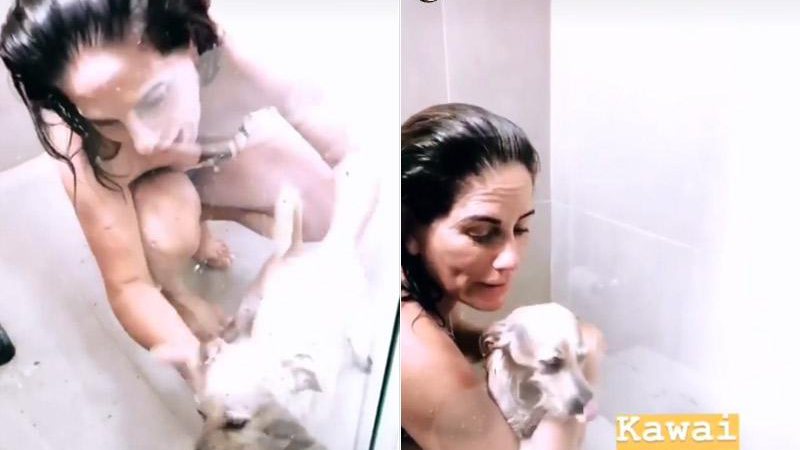 Cleo Pires mostrou a mãe, Glória Pires, dando banho em seus cães no chuveiro - Foto: Reprodução/ Instagram