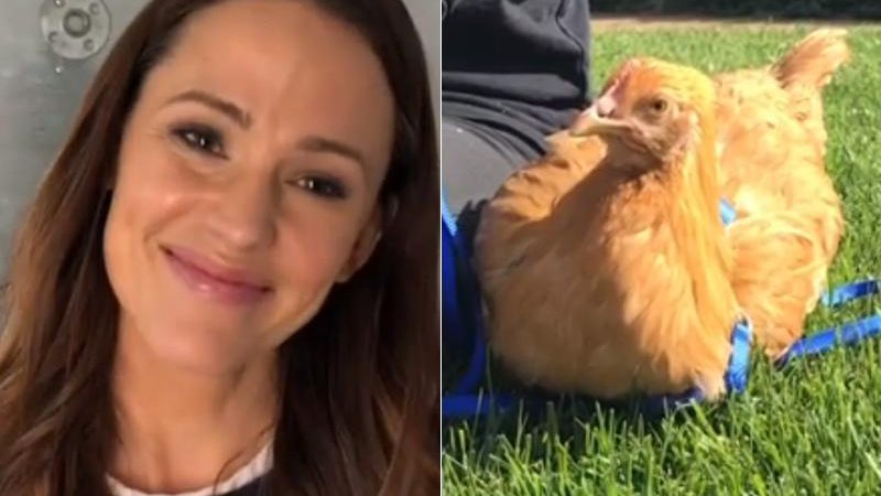 Jennifer Garner homenageou a galinha Regina George em seu Instagram - Foto: Reprodução/ Instagram