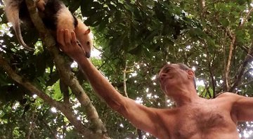 Ney Matogrosso ajudou a tamanduá-mirim a descer da árvore - Foto: Antônio Lucena