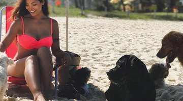 Carol Nakamura foi à praia com seus seis cães neste domingo (1º de julho) - Foto: Reprodução/ Instagram