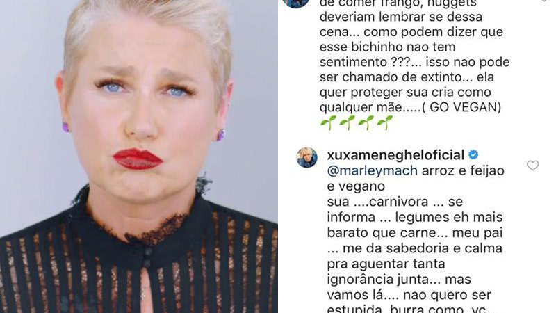 Xuxa comentou post de Fábio de Melo e perdeu a paciência após comentário de internauta - Foto: Reprodução/ Instagram