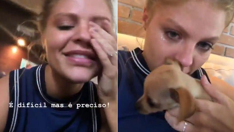 Luisa Sonza chorou ao se despedir de seus cães de estimação - Foto: Reprodução/ Instagram