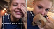 Luisa Sonza chorou ao se despedir de seus cães de estimação - Foto: Reprodução/ Instagram