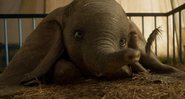 Por que o remake de Dumbo é uma das melhores adaptações da Disney até agora? - Foto: Reprodução/Walt Disney Pictures