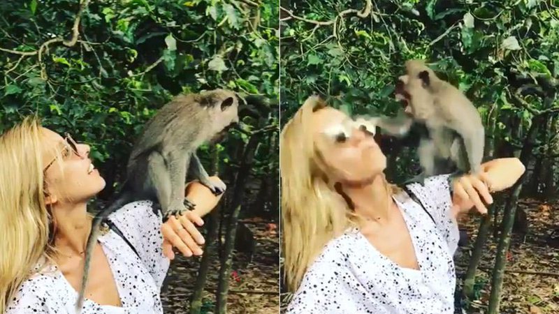 Cris Dias levou tapa de macaco durante visita a santuário em Bali - Foto: Reprodução/ Instagram