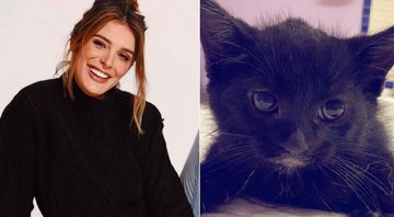 Rafa Brites lamenta morte de gato resgatado por ela: “Partiu com todos os cuidados” - Foto: Reprodução/Instagram