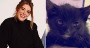 Rafa Brites lamenta morte de gato resgatado por ela: “Partiu com todos os cuidados” - Foto: Reprodução/Instagram