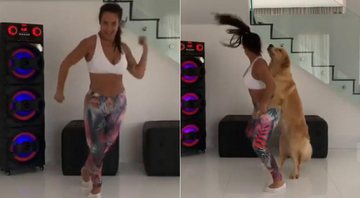 Scheila Carvalho recebeu o reforço de Belinha, sua cadela de estimação, ao treinar coreografia - Foto: Reprodução/ Instagram