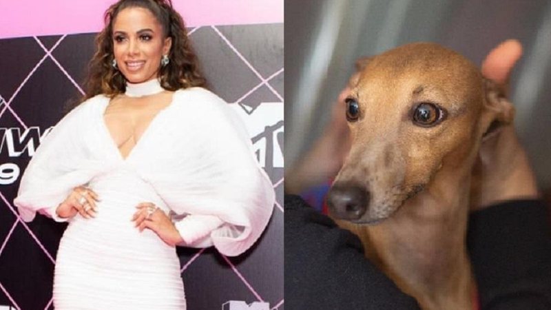 Anitta responde a críticas por levar pet para premiação: “Vocês implicam até com o cachorro” - Foto: Reprodução/Instagram