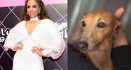 Anitta responde a críticas por levar pet para premiação: “Vocês implicam até com o cachorro” - Foto: Reprodução/Instagram