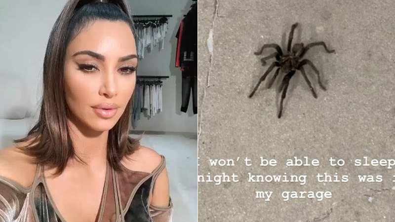 Tarântula tirou o sono de Kim e Khloé Kardashian - Foto: Reprodução/ Instagram
