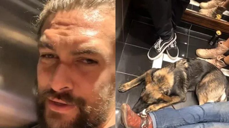 Jason Momoa fica duas horas preso em elevador com seu cachorro e registra tudo nas redes sociais - Foto: Reprodução/Instagram