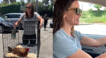 Jennifer Garner mostra, nas redes sociais, os últimos momentos de sua galinha de estimação - Foto: Reprodução/Instagram