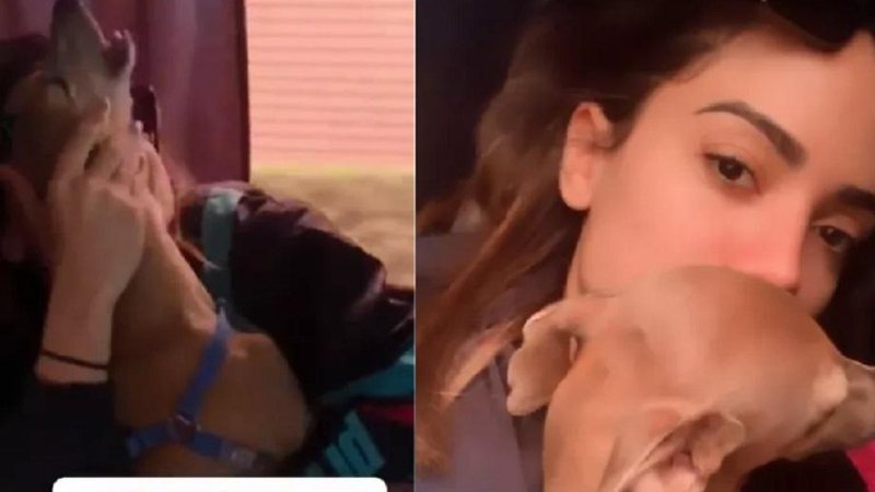 Vídeo: Plínio, cachorro de Anitta, faz escândalo com a volta dela para casa - Foto: Reprodução/Instagram