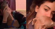 Vídeo: Plínio, cachorro de Anitta, faz escândalo com a volta dela para casa - Foto: Reprodução/Instagram