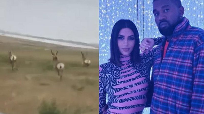 Corrida com antílopes pode render multa para Kanye West e Kim Kardashian - Foto: Reprodução/Instagram