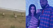 Corrida com antílopes pode render multa para Kanye West e Kim Kardashian - Foto: Reprodução/Instagram
