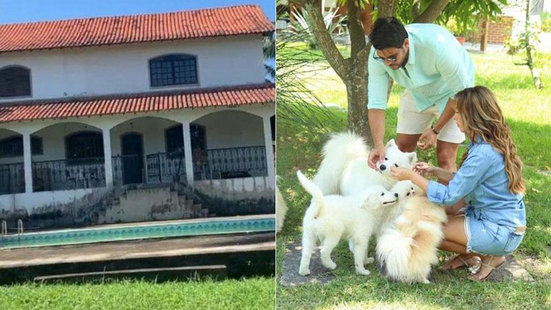 Nicole Bahls comprou sítio de 20 mil metros quadrados para abrigar seus 10 cães - Foto: Divulgação