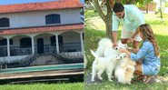 Nicole Bahls comprou sítio de 20 mil metros quadrados para abrigar seus 10 cães - Foto: Divulgação