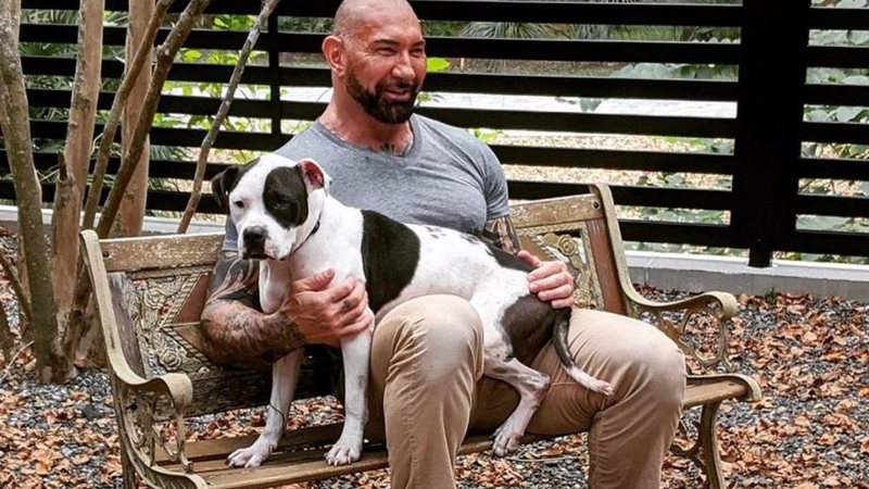 Dave Bautista adota pitbulls abandonados: “Eu preciso deles, eles precisam de mim” - Foto: Reprodução/Instagram