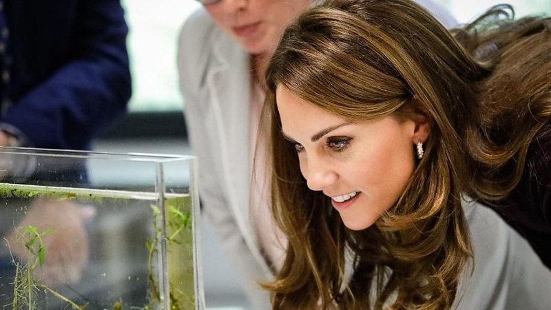 Sem alarde, Kate Middleton fez trabalho voluntário em maternidade de Londres - Foto: Reprodução/Instagram