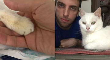 Léo Lins se despediu de seu gato de estimação na web - Foto: Reprodução/ Instagram