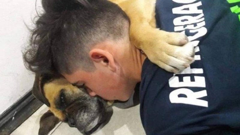 Cadela morre abraçada ao dono após ataque cardíaco causado por fogos de artifício - Foto: Reprodução/Facebook