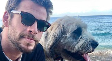 Liam Hemsworth é multado em 610 mil reais por causa de foto publicada em suas redes sociais - Foto: Reprodução/Instagram