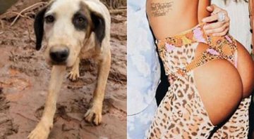 Luisa Mell usou imagem de Anitta para chamar a atenção para evento de adoção e arrecadação - Foto: Reprodução/ Instagram