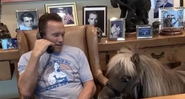 Schwarzenegger surpreende e leva burro e pônei de estimação ao seu escritório - Foto: Reprodução / Instagram