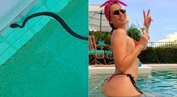 Lívia Andrade encontrou cobra na piscina e mostrou em vídeo para os seguidores - Foto: Reprodução/ Instagram@liviaandradereal