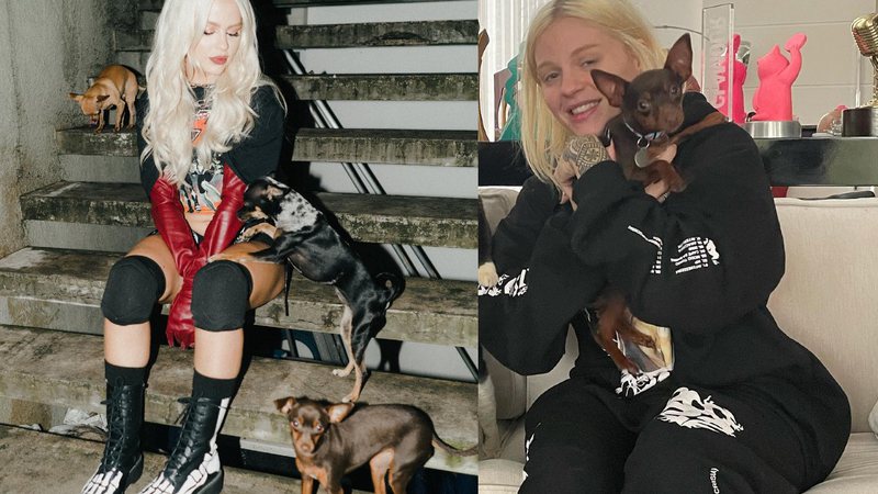 Cantora já batizou outras cachorras de "Gisele Pinscher" e "Britney Spinscher" - Reprodução / Instagram