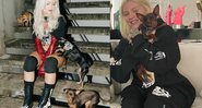 Cantora já batizou outras cachorras de "Gisele Pinscher" e "Britney Spinscher" - Reprodução / Instagram
