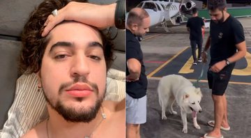 Henrique e Juliano levaram cachorros de Nattan após festa - Foto: Reprodução/ Instagram@nattan