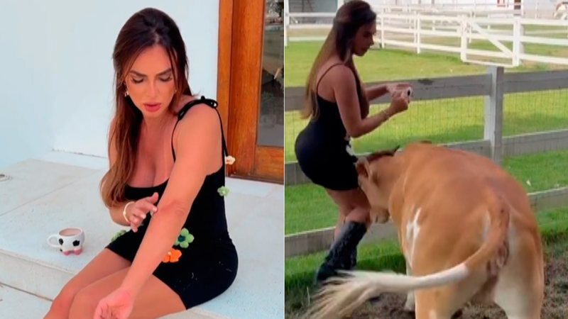 Nicole Bahls mostrou arranhões após levar cabeçadas de vaca - Foto: Reprodução/ TikTok@eunicolebahls