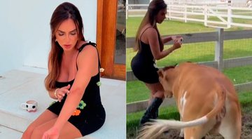 Nicole Bahls mostrou arranhões após levar cabeçadas de vaca - Foto: Reprodução/ TikTok@eunicolebahls