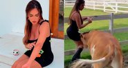 Nicole Bahls mostrou arranhões após levar cabeçadas de vaca - Foto: Reprodução/ TikTok@eunicolebahls