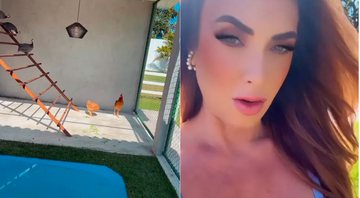 Nicole Bahls mostrou galinheiro luxuoso em sua casa - Foto: Reprodução/ Instagram@nicolebahls