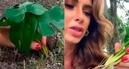 Nicole Balhs cuidou de planta de plástico por uma semana - Foto: Reprodução/ Instagram@nicolebahls
