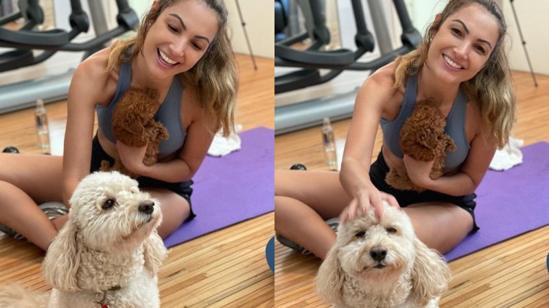 Patricia chegou a anunciar a chegada da cachorrinha Bella recentemente - Reprodução/Instagram