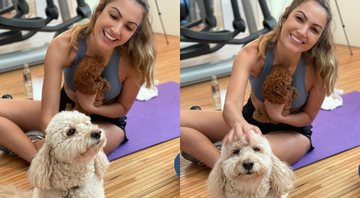 Patricia chegou a anunciar a chegada da cachorrinha Bella recentemente - Reprodução/Instagram