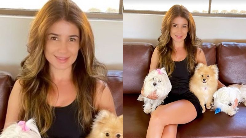 Paula Fernandes compartilha clique ao lado de seus pets - Foto: Reprodução / Instagram @paulafernandes