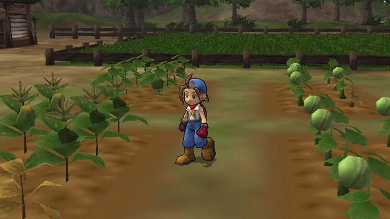 Download harvest moon save the homeland pc