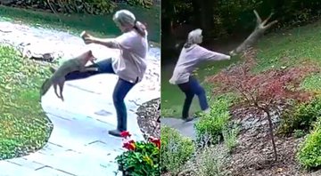 Mulher é atacada por raposa com raiva na porta de casa - Foto: Reprodução/ Twitter@EdRussoWX