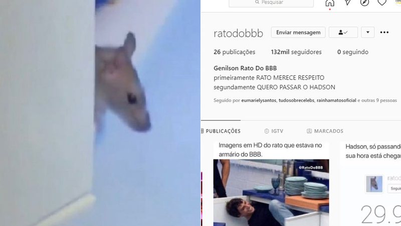 Rato que apareceu no BBB 20 ganhou perfil no Instagram e está fazendo o maior sucesso - Foto: Reprodução/ Instagram