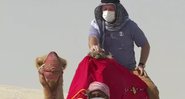 Repórter relatou um imprevisto durante um passeio de camelo durante a reportagem - Reprodução/TV Globo